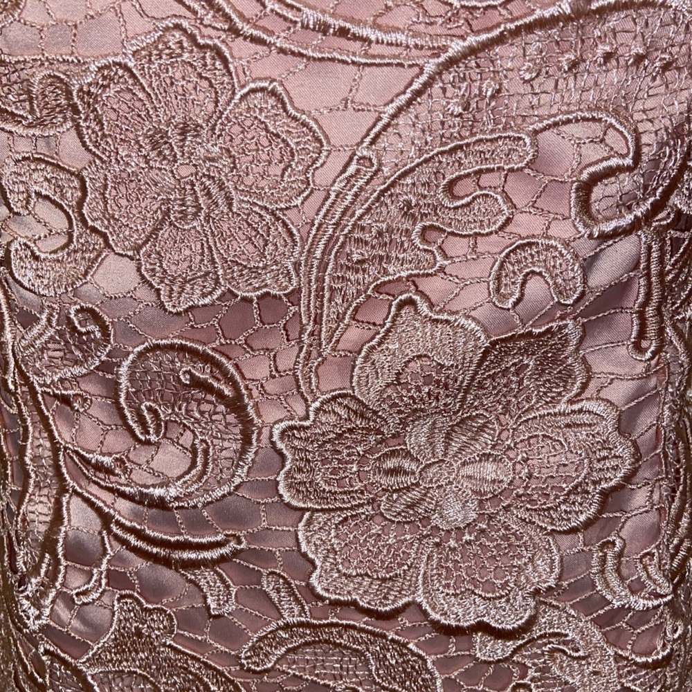 Adrianna Papell Strapless Lace Mini Dress in Blush - Picture 8 of 8